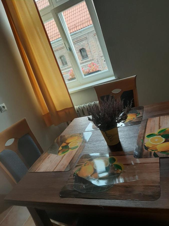 Apartament Koci Leb Торунь Экстерьер фото